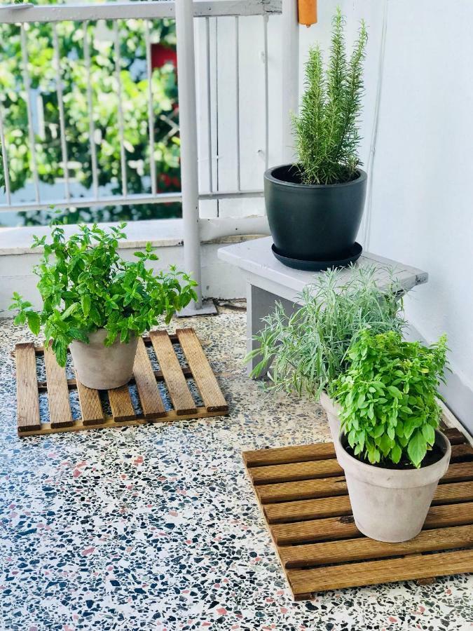 סלוניקי Comfy & Relaxing Apartment מראה חיצוני תמונה